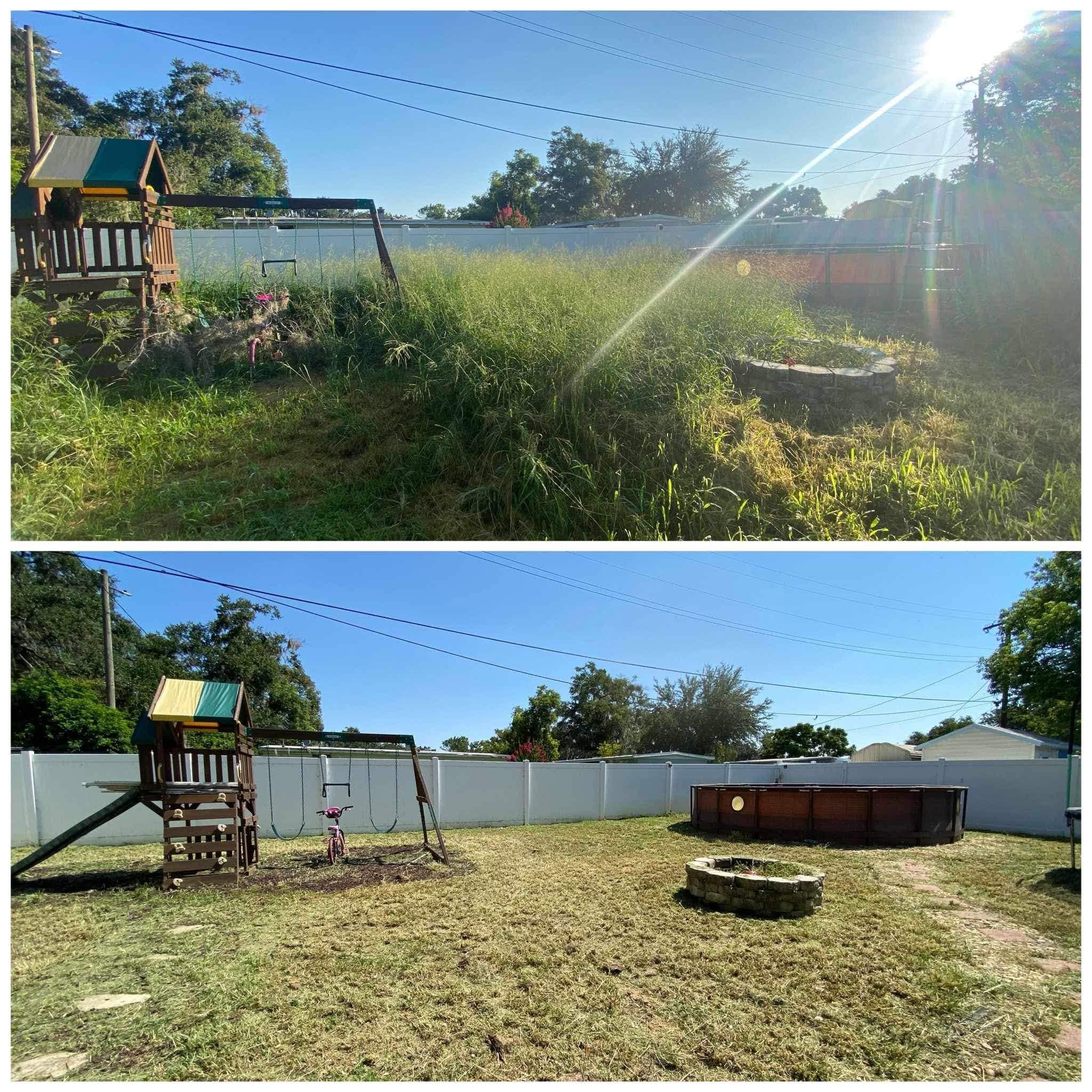 Yard cleanup before and after