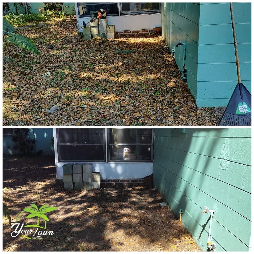 Leaf cleanup before and after