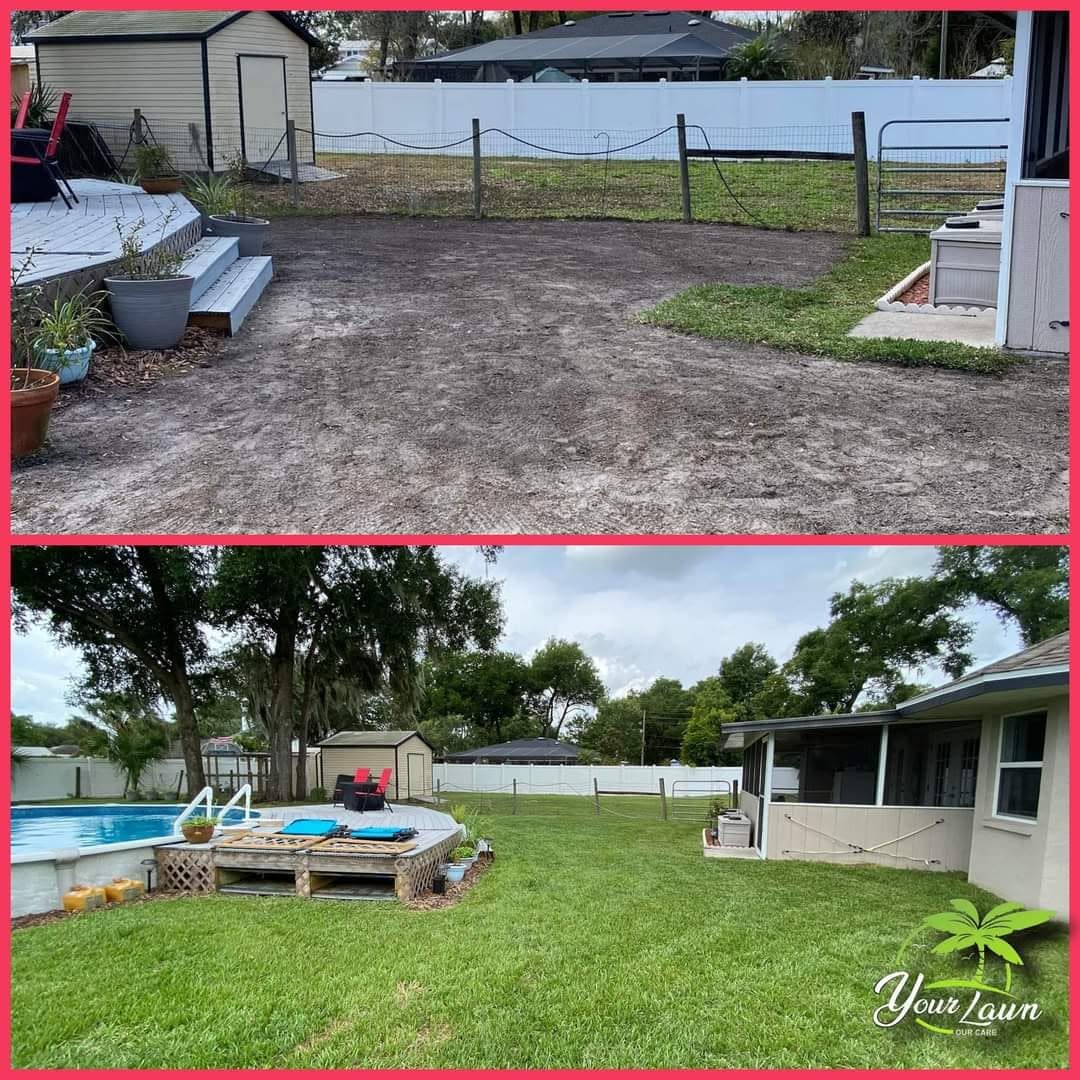 Sod installation before and after