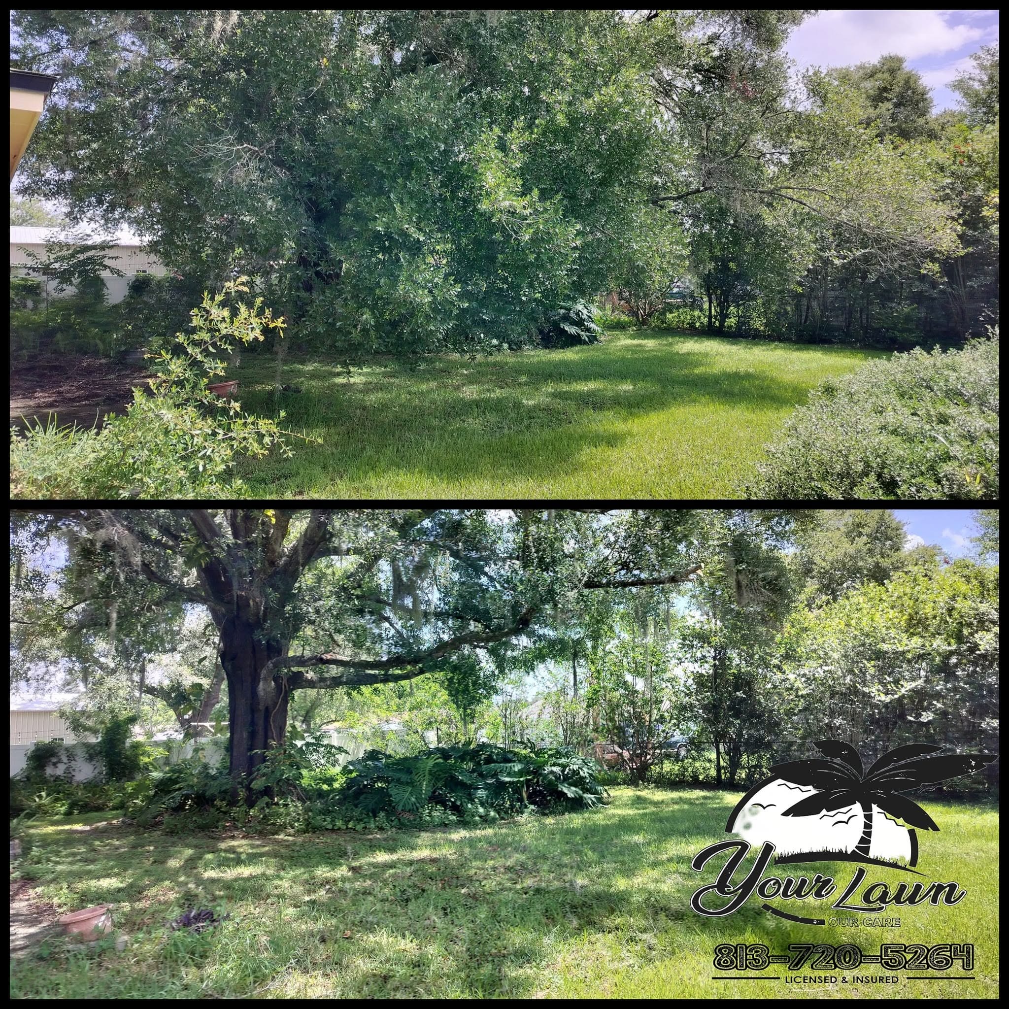Tree trimming work
