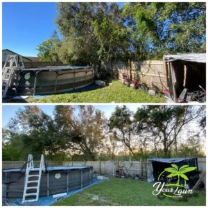 Gallery Tree Trim On Fence 300x300
